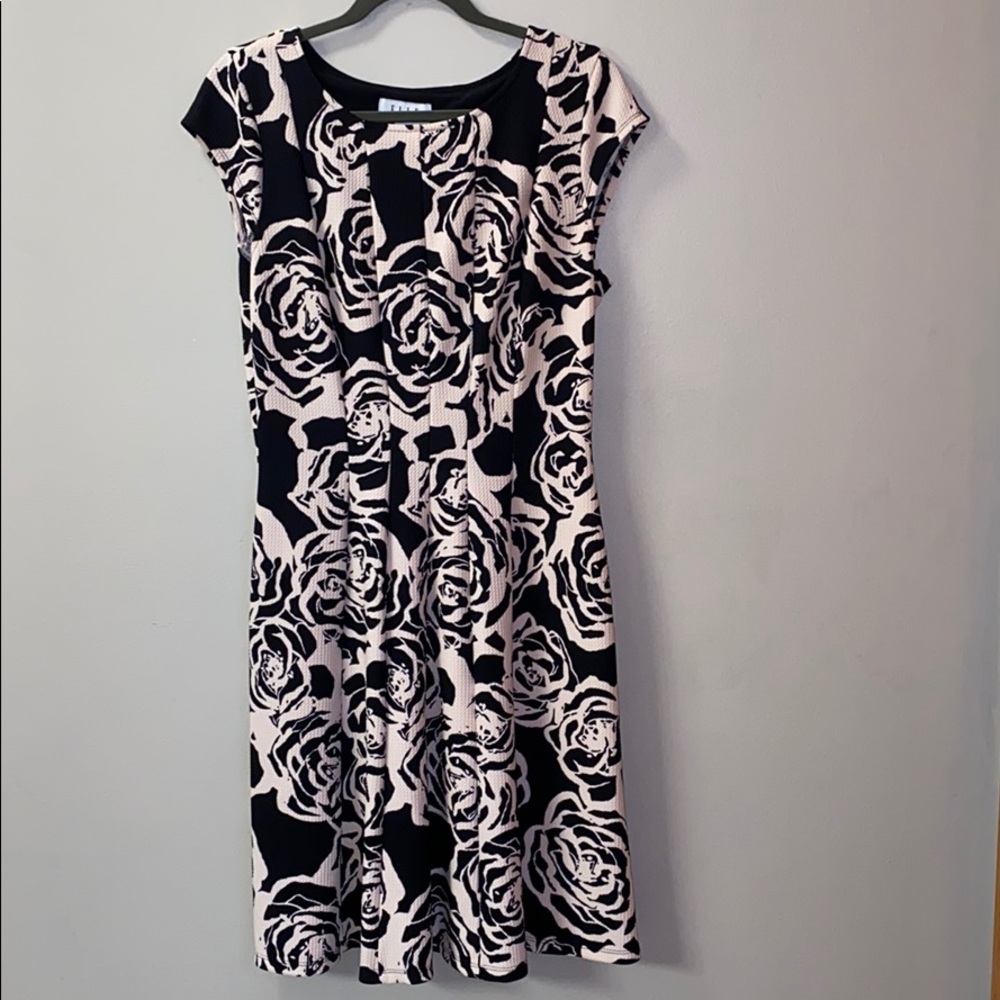 Elle Fit and Flare Black and Pink Dress